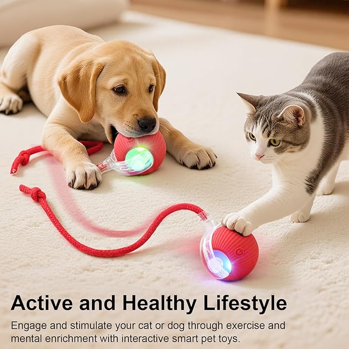 Interactive Electric Automatic Rolling Moving USB Rechargeable Self Activated Play Stimulation Toy Smart Chase Teaser Ball with Speedy Tail Rope for Bored Adult Indoor Cats and Dogs, Yellow