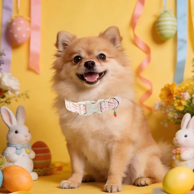 Easter Day Dog Collar, UP URARA PUP Easter Bunny Adjustable Pet Collar with Quick Release, Colorful Rabbits Dog Collars for Small Medium Large Dogs