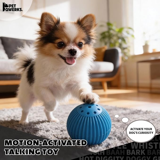 Pet Qwerks Talking Babble Ball - Interactive Chew Dog Toy - Small