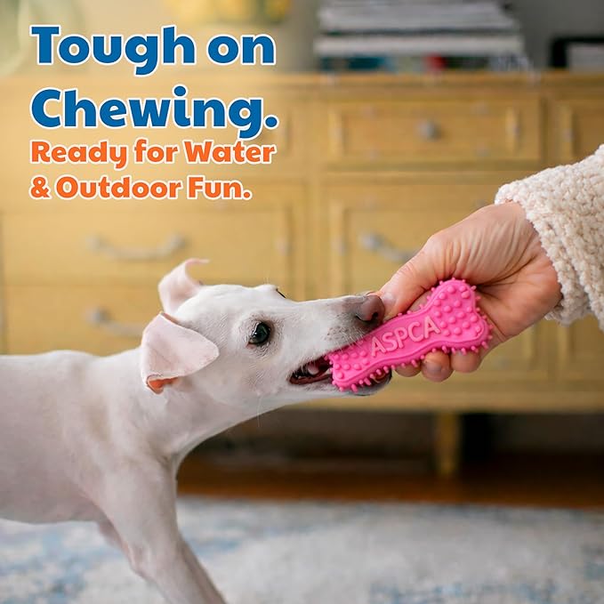 ASPCA 2-Pack Spiky TPR Puppy Teether Bones – Vanilla-Scented Teething Toys for Gum Relief, Gentle Chewing & Interactive Play