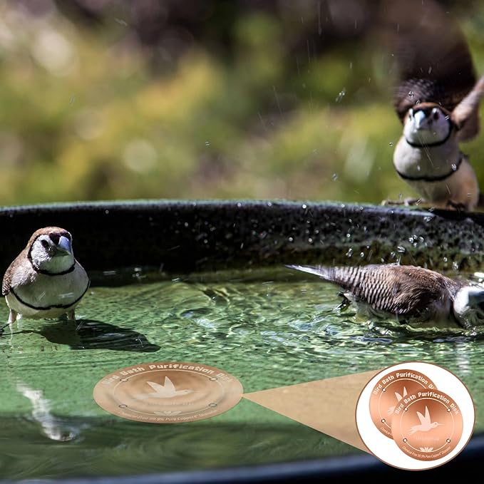 99.99% Pure Copper Bird Bath Purification Disk,Set of 2,0.6mm thick,Reinforced Copper Purification Cleaner with Four-Point Support,All-Season Safe Clean Water,Universal Fit for Outdoor Birdbath&Bowl