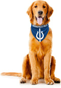 Littlearth NFL Denver Broncos Pet Bandana