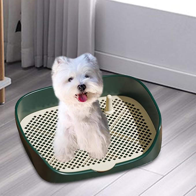 Dog Tray with Wall for Cats and Dogs, Elevated Pet Feeding Station, Wall-Mounted Pet Bowl Tray with Barrier, Multi-Level Pet Food Dispenser for Clean Feeding- Green S