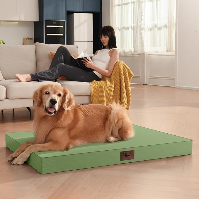 Outdoor Orthopedic Dog Bed, Waterproof Dog Bed for Large Dogs 36x27 Inch, Egg Crate Foam Pet Mat with Washable Removable Oxford Cooling Cover, Light Green