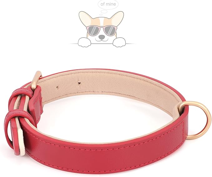 WHIPPY Leather Dog Collar for Small Medium Large Dog Adjustable Soft Breathable Leather Padded Puppy Collar with Alloy Buckle Heavy Duty Waterproof Classic Dog Pet Collar,red,S
