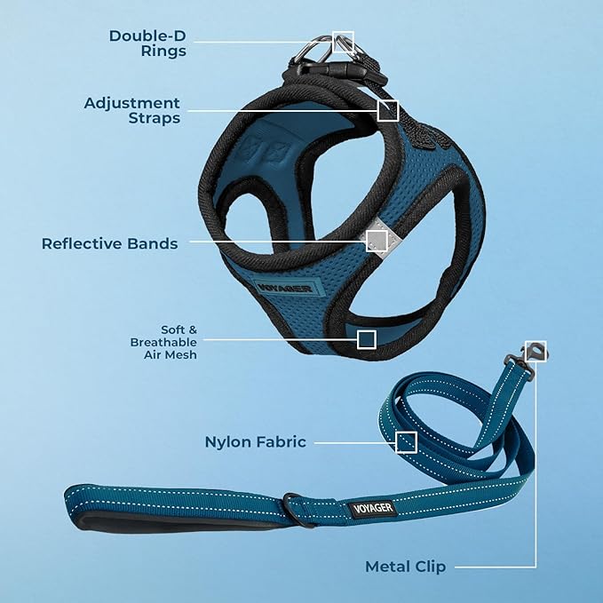 Best Pet Supplies Voyager Step-in Air All Weather Mesh Harness and Reflective Dog 5 ft Leash Combo with Neoprene Handle, for Small, Medium and Large Breed Puppies - Blue/Black Trim, Large