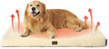 Bedsure Self Warming Dog Beds Large Sized Dog - Extra-Large Puppy Bed with Removable Washable Cover, Orthopedic Egg Crate Foam Pet Mat, Suitable for Pet Up to 100 lbs (Non Electric)