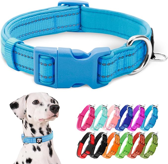 azuza Reflective Dog Collar,Soft Neoprene Padded Pet Collar with ID Tag Ring,Adjustable for Large Dogs,Sky Blue,L
