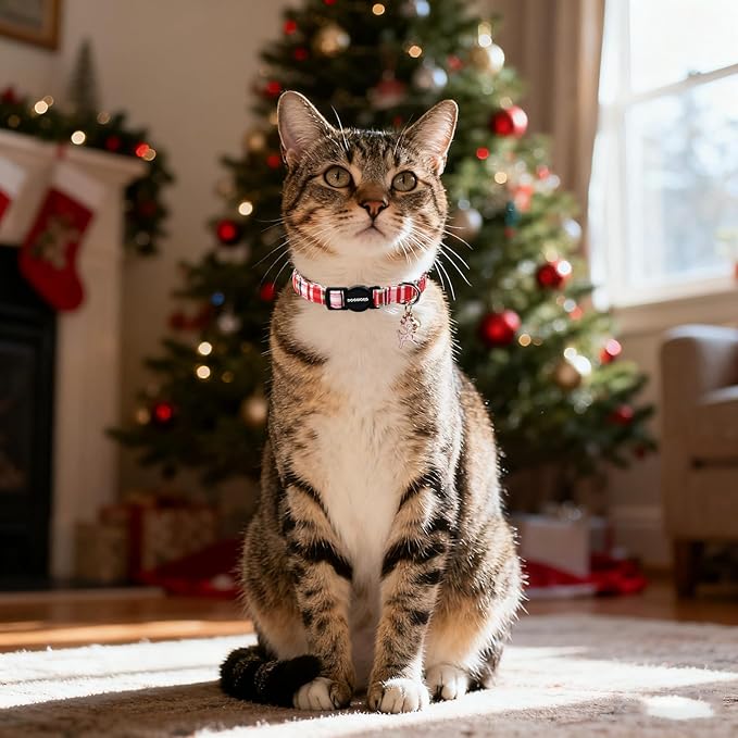2 Pack Christmas Plaid Cat Collars Breakaway with Bell, DOGWONG Safety Buckle Red Plaid Cute Cat Collar for Girl Boy Cats，Adjustable 7-12 Inch