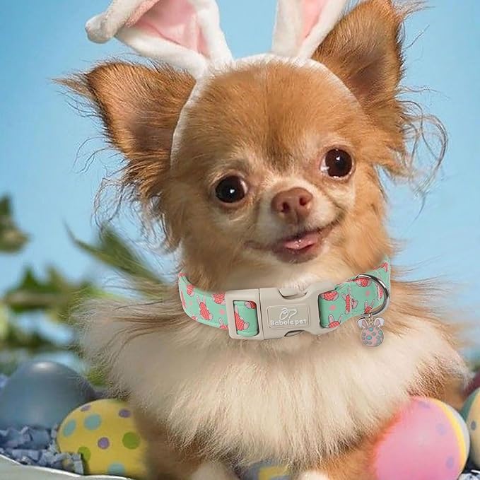 Easter Dog Collar for Large Dogs - Green Bunny Egg Dog Collars, Cute Boy Girl Dogs Easter Collar, Adjustable Spring Holiday Pet Collars with Quick Release Buckle L