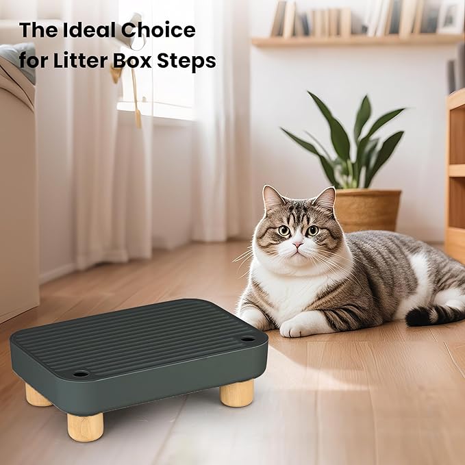 Litter Box Step, Litter Box Ramp/Catcher with Wooden Base, Anti-Tracking & Easy to Clean, Ideal for Small & Elderly Cats (Black)