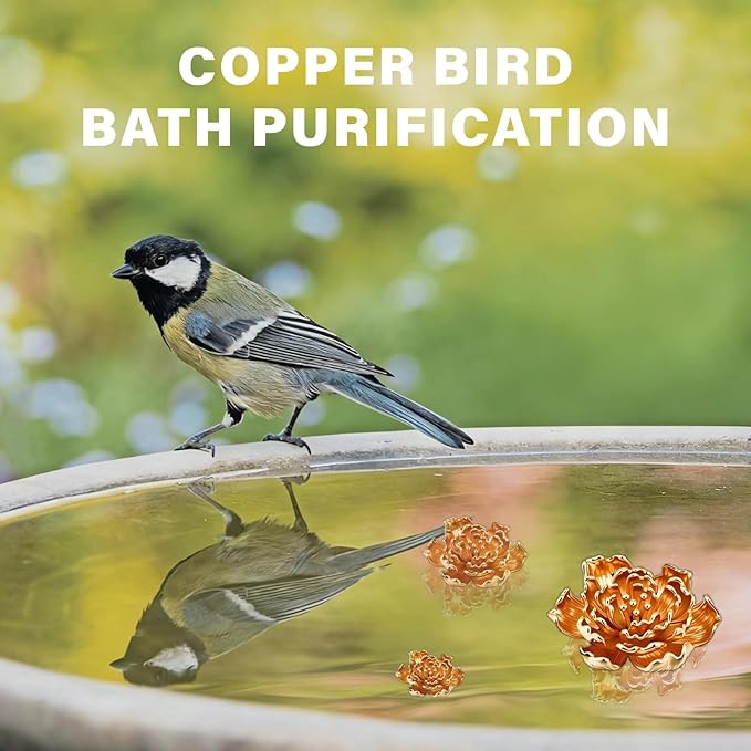 4 Pcs Peony Shape Bird Bath Copper Disk Accessories, Brass Bird Bath Purification Copper Piece for Bird Baths for Outdoors, Outdoor Bowl Decorations