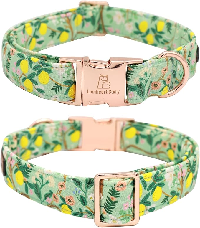 Lionheart Glory Dog Collar, Dog Collar with Flower, Cute Lemon Floral Pattern Pet Collar Adjustable Dog Collar for X-Small Dogs