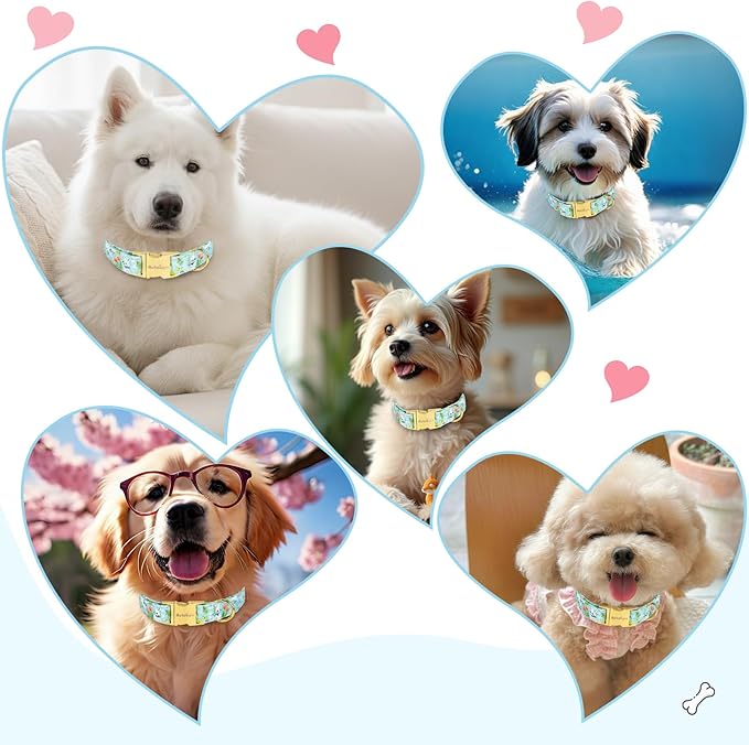 Easter Dog Collar for Extra Small Dogs, Easter & Spring Theme Small Dog Collar with Cute White Bunny Pattern, Adjustable Blue Easter Dog Collars Girl Boy Collar for Dogs -XS