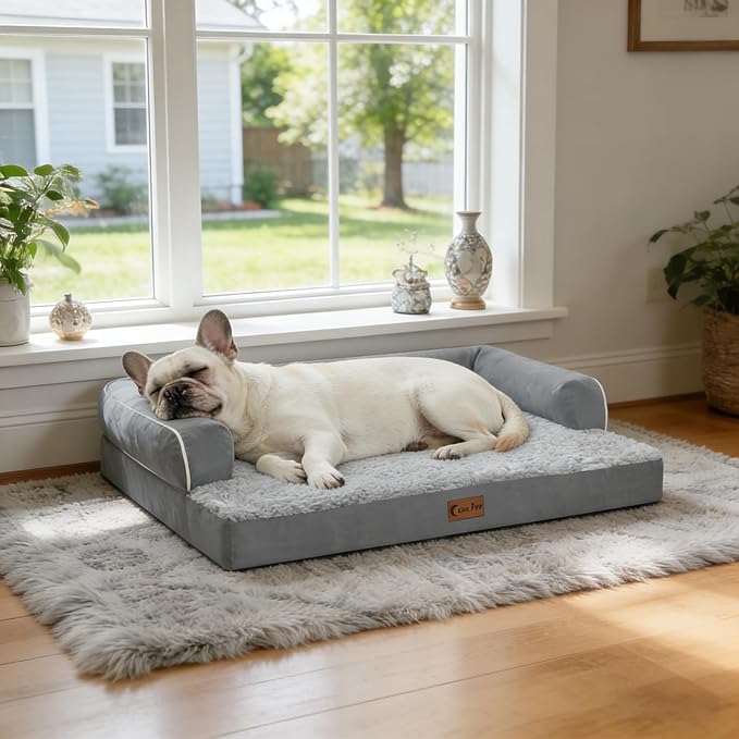 Orthopedic Dog Beds for Extra Large Dogs, Waterproof Egg Crate Foam XL Dog Bed with Sides 48x30Inch, Big Dogs Couch Beds with Removable Washable Cover and Nonskid Bottom, Grey