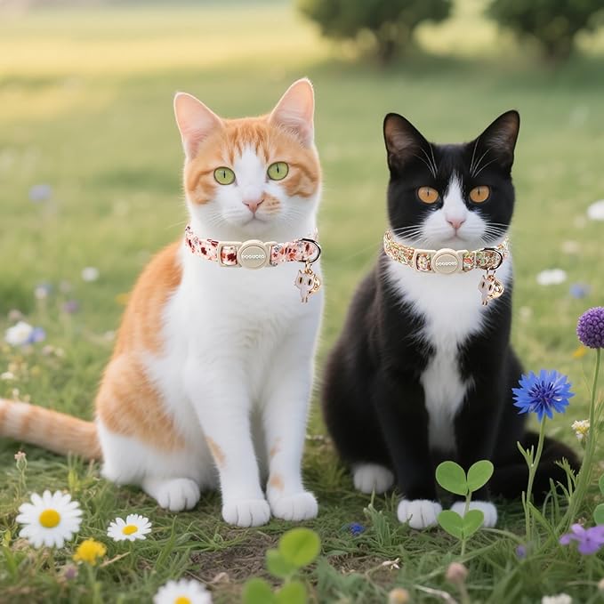 Cat Collar,2 Pack Cute Cat Collars Breakaway with Bell- Safety Buckle Flower Daisy Orange Cat Collar for Girl Cats and Small Dogs，Adjustable 7-12 Inch,Pet Supplies Accessories