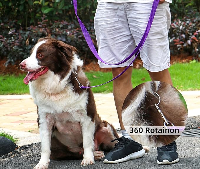 AMAGOOD Dog/Puppy Obedience Recall Training Agility Lead-15 ft 20 ft 30 ft 50 ft Long Leash-for Dog Training,Tie Out,Play,Safety,Camping (50Feet x 1Inch, Purple)