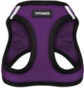 Best Pet Supplies Voyager Step-in Air Harness - All Weather Mesh, Reflective, No Pull Harness for Dogs, Cats - Secure with Hook & Loop Fastener, Buckle, Double D-Rings - Purple/Black Trim, M