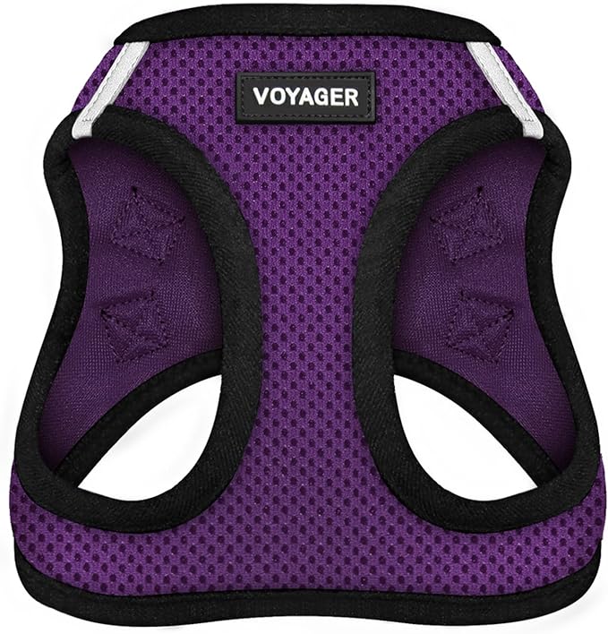 Best Pet Supplies Voyager Step-in Air Harness - All Weather Mesh, Reflective, No Pull Harness for Dogs, Cats - Secure with Hook & Loop Fastener, Buckle, Double D-Rings - Purple/Black Trim, M