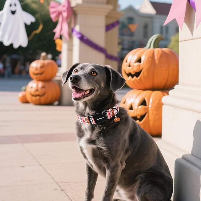 DOGWONG Fall Dog Collar- Pink Halloween Dog Collars Adjustable Classic Halloween Dog Collar for Small Medium Large Dogs S