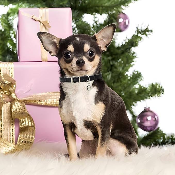 Brown XS Dog Collar with Bell, Soft Pu Leather Cat Collars Adjustable Buckle for XXS Extra Small Medium Tiny Female Male Boys Girls Pets Puppy Kitten Teacup Yorkie X-Small