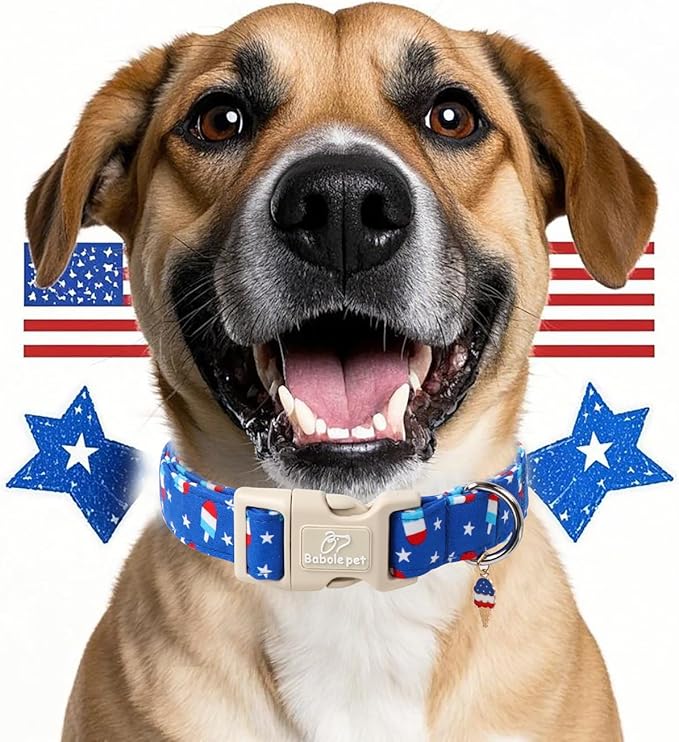 4th of July Dog Collar, Summer Popsicle Patriotic Dog Collars for Medium Dogs, Adjustable Lightweight Quick-Release Buckle Collar for Boy&Girl Dogs M