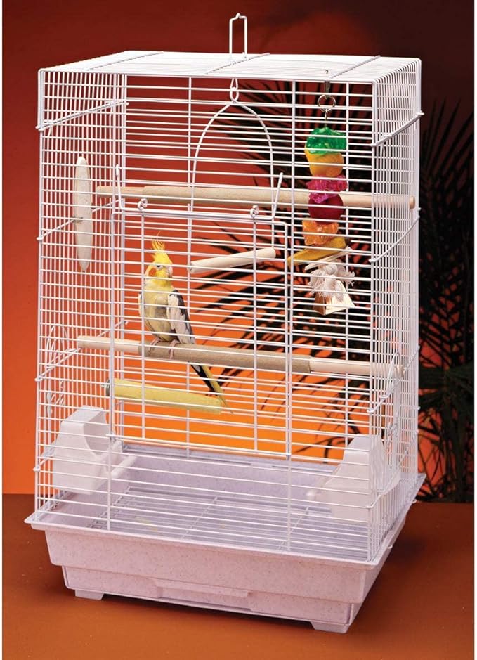 PENN-PLAX Cockatiel & Small Parrot Starter Kit with Birdcage, Cover, and Accessories – Perfect for Cockatiels, Conures, and Small Parrots – Square Dome – White