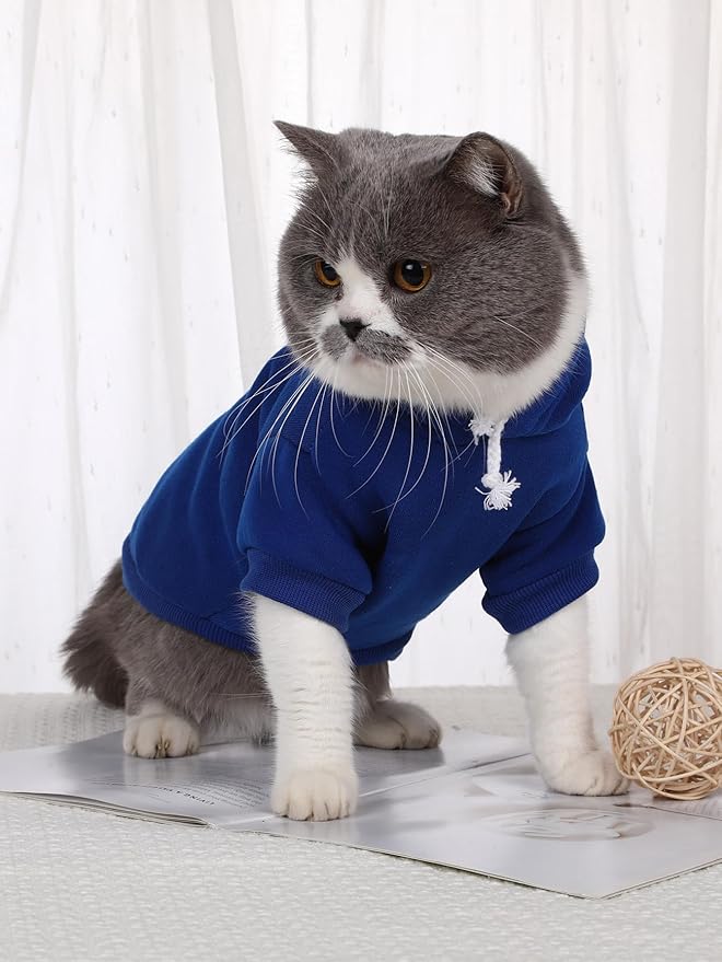 QWINEE Basic Dog Hoodie Sweatshirt Puppy Sweater Warm Cat Costumes Pet Clothes for Chihuahua Puppy Kitten Small Medium Dogs Royal Blue Large