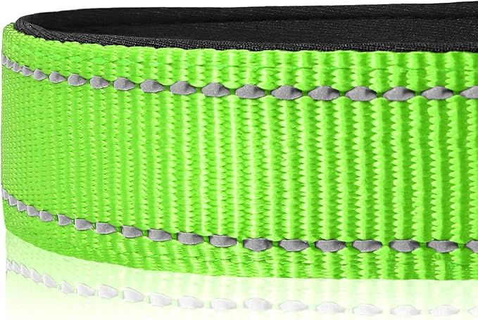 Joytale Reflective Dog Collar, Soft Neoprene Padded, Metal D-Ring, Nylon Pet Collar Adjustable for Small Dogs, Green, S