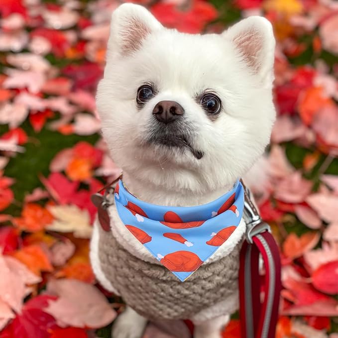 PAWCHIE Thanksgiving Dog Bandanas 4 Pack, Reversible Dogs Triangle Scarf Bibs, Dog Holiday Bandana with Two Adjustable Snaps, Multiple Thanksgiving-Themed Patterns for Dogs Puppy, Cats, Pets