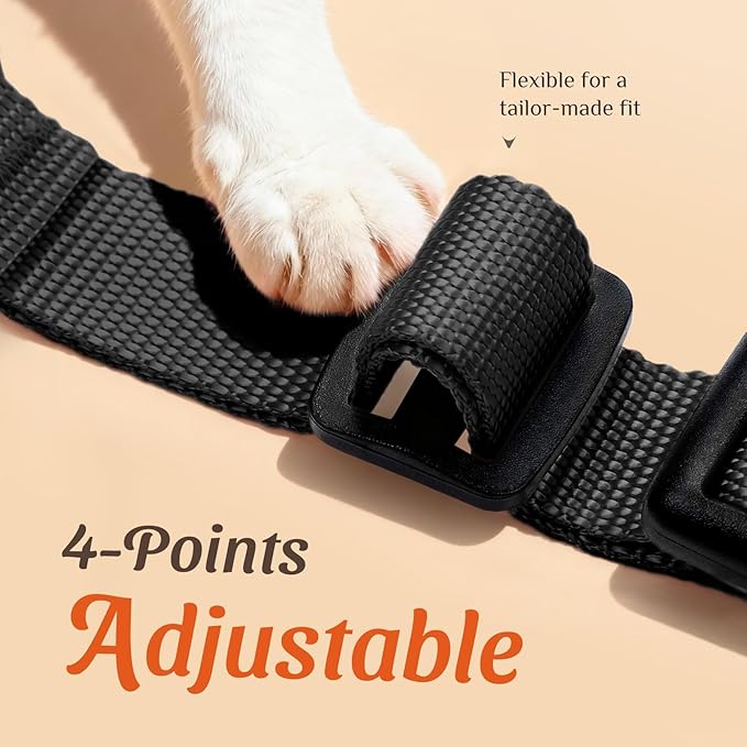 Dooradar Cat Harness and Leash Set, Escape Proof Safe Adjustable Kitten Vest Harnesses for Walking, Easy Control Soft Breathable Mesh Jacket with Reflective Strips for Cats, Black, XS
