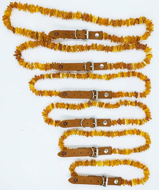 Amber Collars for Dogs & Cats - Baltic Amber Dog & Cat Collar with Adjustable Leather Strap - Raw Knotted Amber Beads (20-25cm)