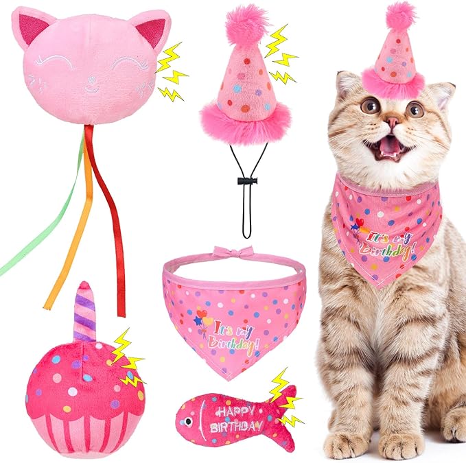 BINGPET Cat Birthday Catnip Toys for Indoor Cats, 5 Pcs Cat Birthday Gift Kitten Interactive Toys for Boy Girl Cats, Soft Plush Catmint Kitty Chew Kick Toy, Hat, Bandana, Balloon, Cake, Fish, Pink