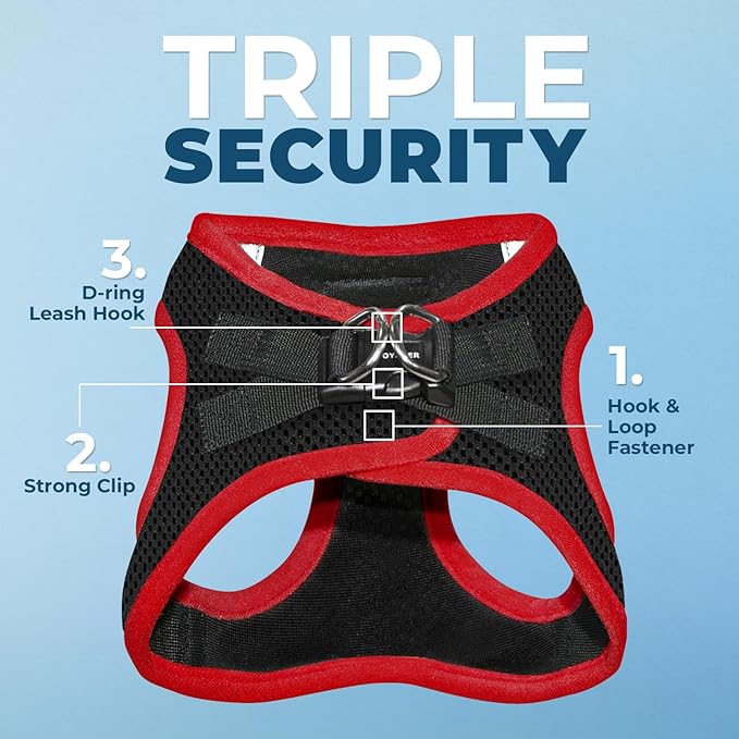 Best Pet Supplies Voyager Step-in Air All Weather Mesh Harness and Reflective Dog 5 ft Leash Combo with Neoprene Handle, for Small, Medium and Large Breed Puppies - Red Trim, M