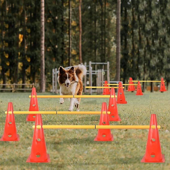 TNZMART Dog Agility Hurdle Cones Pet Jump Training Set Dog Agility Course Backyard Set Adjustable Obstacle Training Set (Orange, 6 Sets)