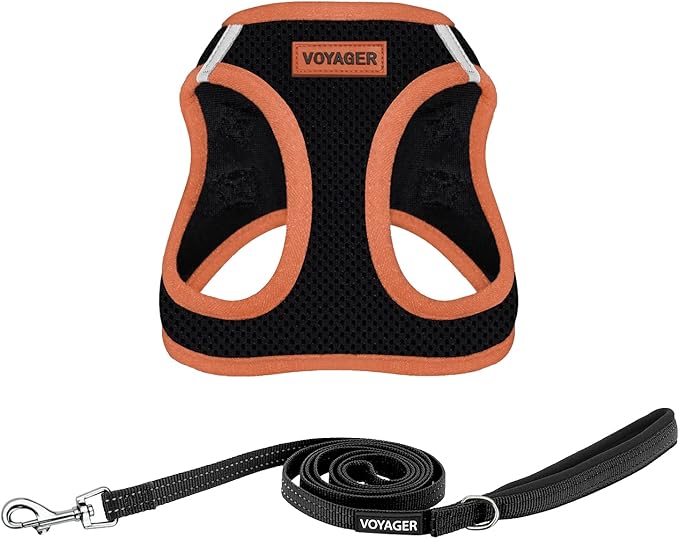 Best Pet Supplies Voyager Step-in Air All Weather Mesh Harness and Reflective Dog 5 ft Leash Combo with Neoprene Handle, for Small, Medium and Large Breed Puppies - Black/Orange Trim, Large