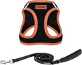 Best Pet Supplies Voyager Step-in Air All Weather Mesh Harness and Reflective Dog 5 ft Leash Combo with Neoprene Handle, for Small, Medium and Large Breed Puppies - Black/Orange Trim, X-Large
