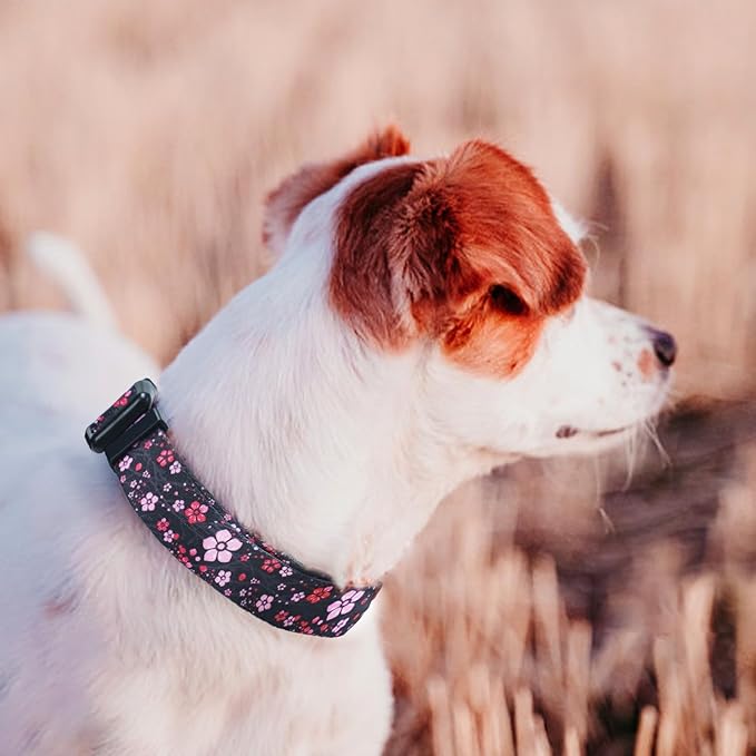 QQPETS Adjustable Soft Dog Collar: Print Flower Pink Multicolor Cute Patterns for XS Small Medium Large Pet Girl Boy Puppy Walking Running Training
