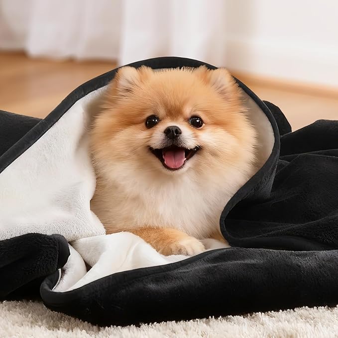 LOOBANI Waterproof Dog Blanket: Spill-Proof Puppy Blankets for Small Medium Dogs Washable, Reversible Soft Flannel Pet Throw for Dog Bed, Crate, Couch Sofa Cover, Travel, 30" x 40", Black & Beige