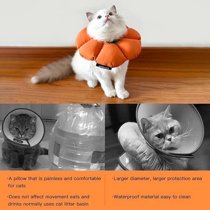 Cat Cone Collar,Cute Waterproof Recovery Collar,Anti-Bite Lick Wound Healing Safety Elizabethan e Collar for Cats,Orange Pumpkin Cat Halloween Costume