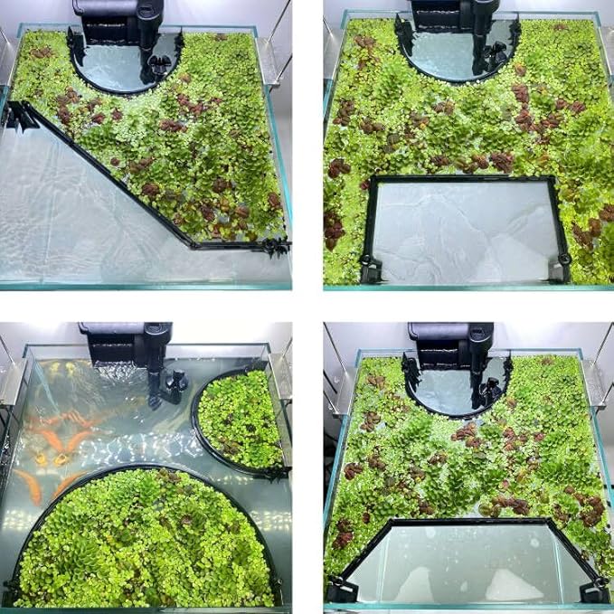 Floating Plant Corral for Aquarium, Fish Tank Accessories to Separate Floating Plants, Automatically Adjusts Height with Water Level, Suitable for All Floating Plants and All Aquariums (Style 3)