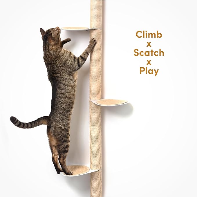 51" Wall-Mounted Cat Tree – Modern Space-Saving Cat Shelf with Sisal Scratching Post & Steel Climbing Steps – Stylish Cat Wall Furniture for Small Spaces