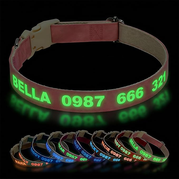 DOG WORLD Custom Fluorescent Dog Collar - Personalized Luminous Name & Phone Number for Night Safety, Fashionable & Easy-to-Use Pet Accessory, Ideal for Night Walks