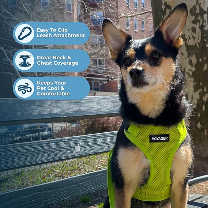 Voyager Step-in Pet Harness - All Weather Mesh, Adjustable Step in Harness for Cats and Dogs by Best Pet Supplies - Lime Green, M