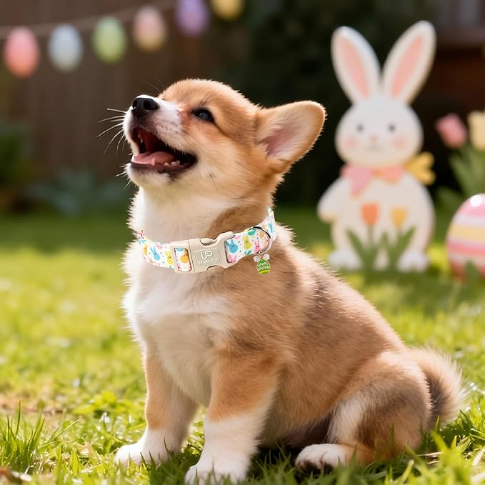 Easter Day Dog Collar, UP URARA PUP Easter Bunny Adjustable Pet Collar with Quick Release, Colorful Rabbits Dog Collars for Small Medium Large Dogs
