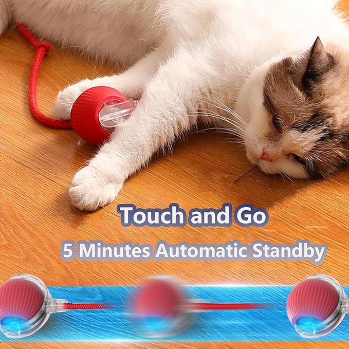 Interactive Cat Toys for Indoor Cats, Agility Move Cat Balls,Motion Activated Cat Balls, Cat Toys for Bored Indoor Cats（Green）