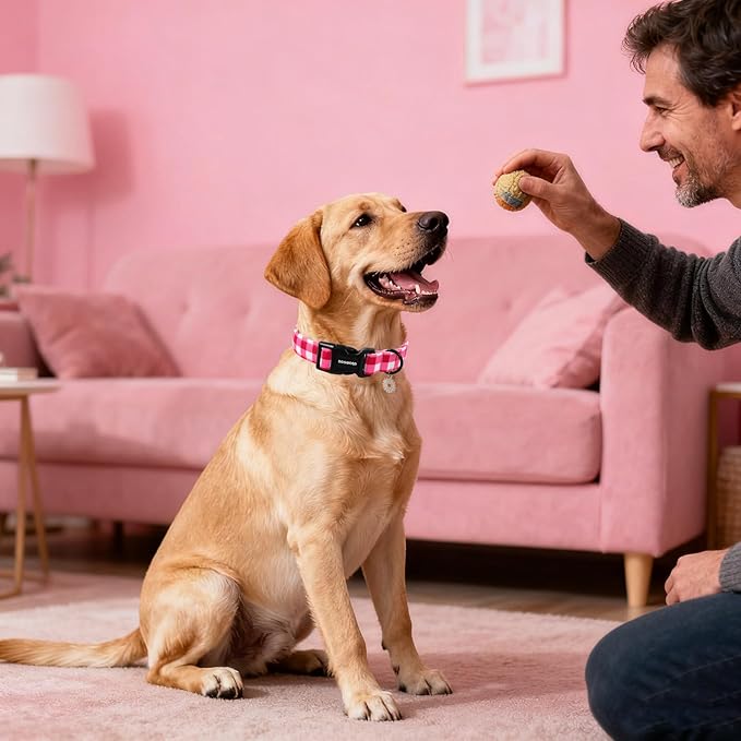DOGWONG Pink Checkered Dog Collar, Cute Pink Plaid Dog Collars, Adjustable Girl Female Pet Collars Design Dog Collar for Small Medium Large Dogs