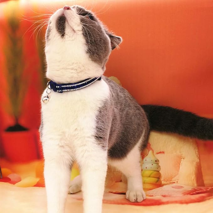 THAIN Basic Adjustable Cat Collar Bling Diamond Breakaway with Bell for Kitten Girl boy (Blue)