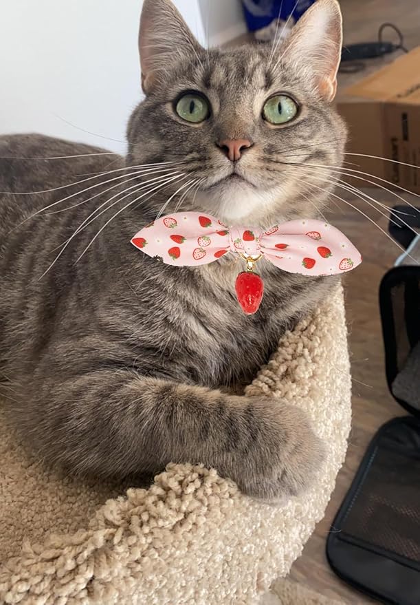 Bowtie Cat Collar with Bell 2 Pack Stylish Breakaway Kitten Collars with Removeable Bowknot,Yellow Bee & Pink Strawberry