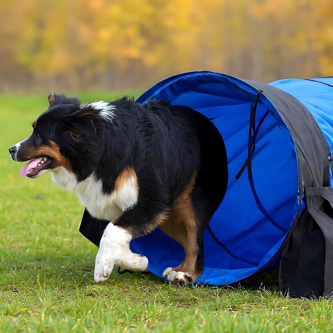 28 in 10 Foot Blue Extra Large Dog Agility Tunnel with Sandbags Dogs Agility Training Equipment Tunnel with 3 Pack Sandbags Carry Bag and 4 Ground Spikes for All Medium and Large Dogs